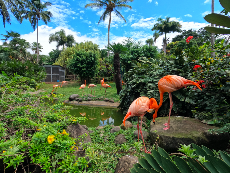 Jardin Botanique