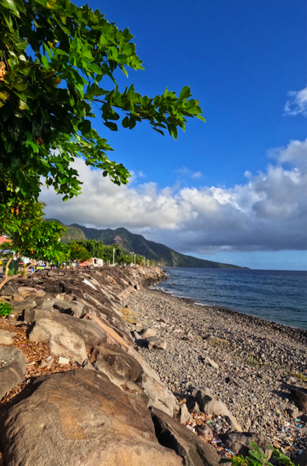 Basse Terre - Mont Caraïbes