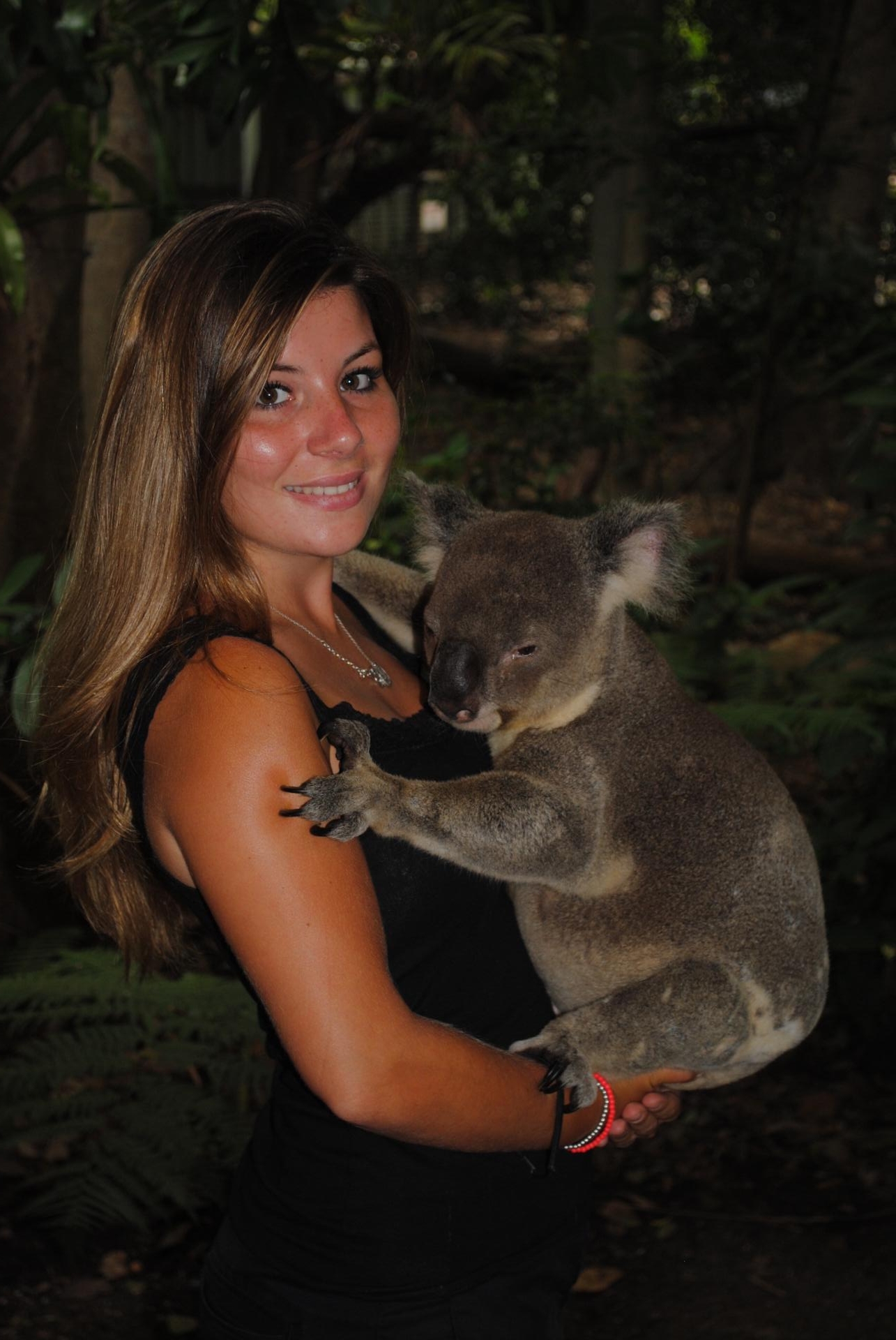 Lone Pine Koala Sanctuary