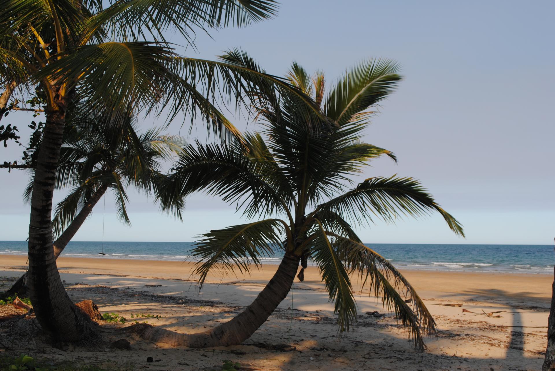 Mission Beach