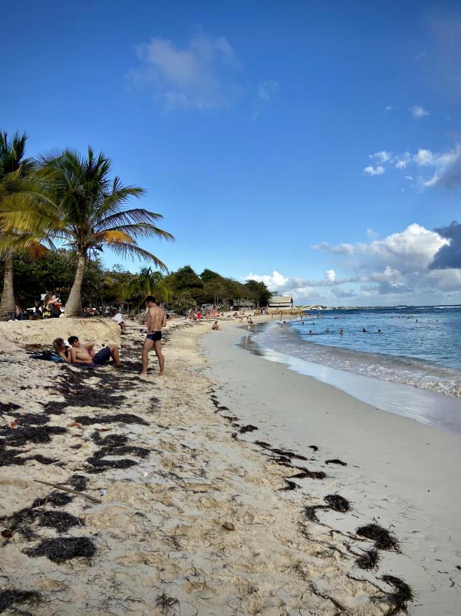 Plage des Raisins Clairs