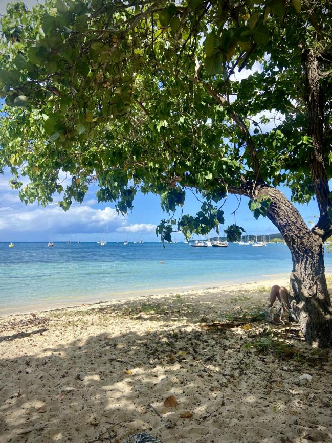 Marie Galante - Folle d'Anse