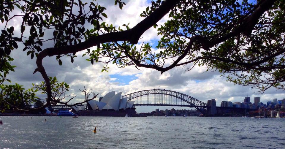 Sydney mrs macquarie chair